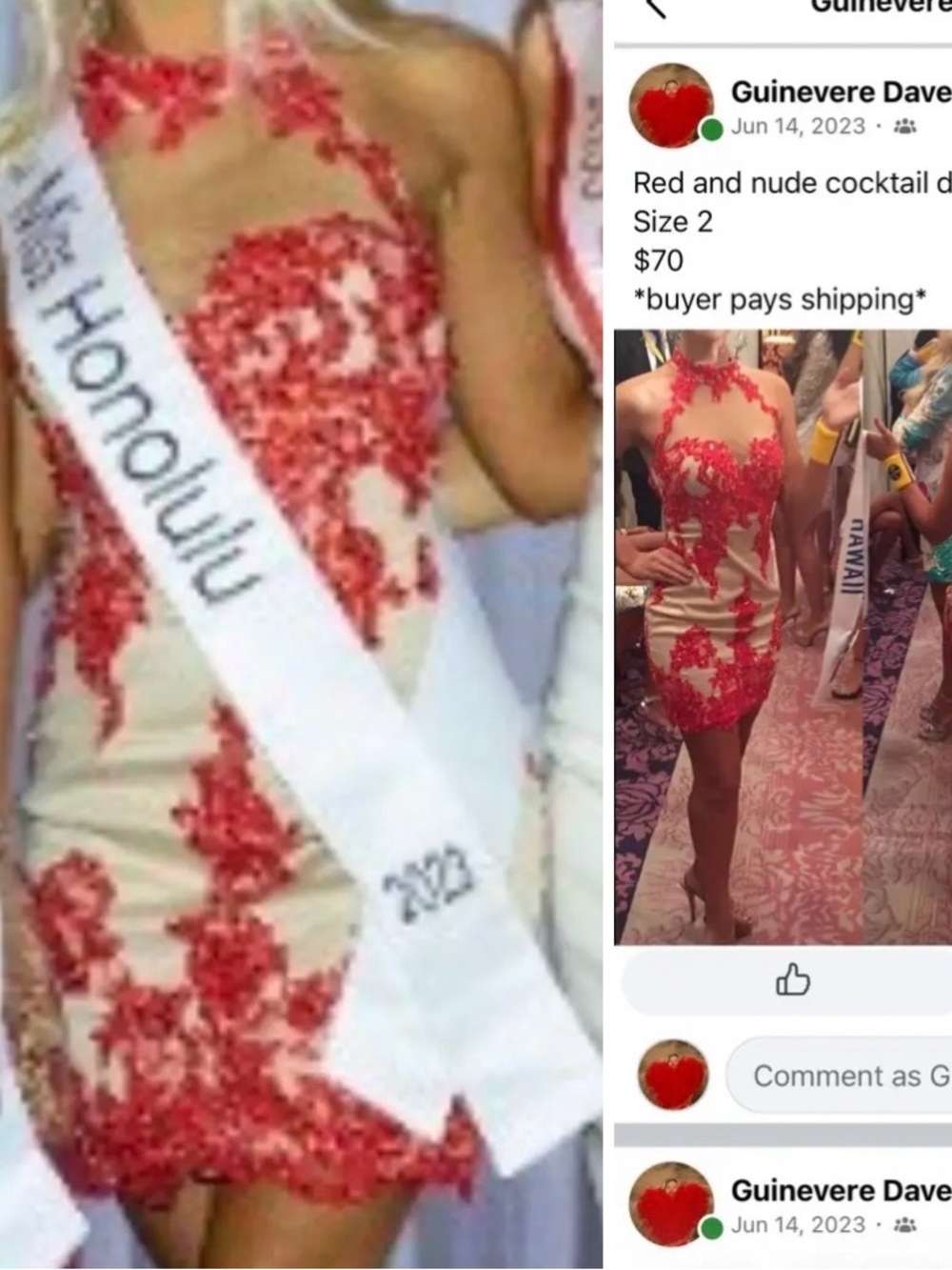 Red and Nude Embroidered Cocktail Dress